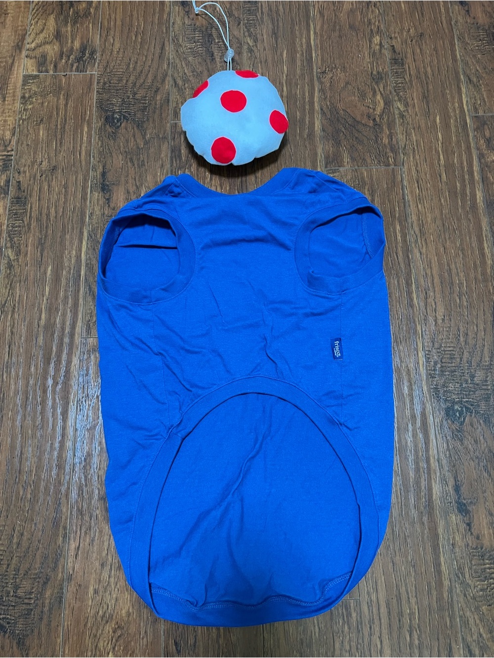 Dog’s Toad Halloween Costume